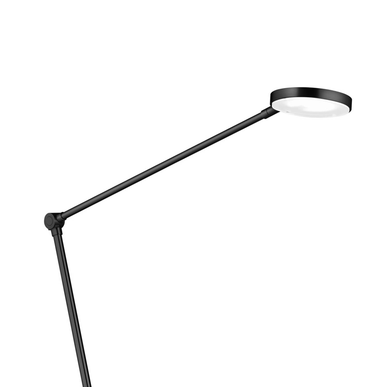 Lampadaire LED Thea-S noir à commande gestuelle et lumière réglable