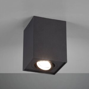 Plafonnier Trio Lighting Biscuit noir en métal avec lampe pivotante