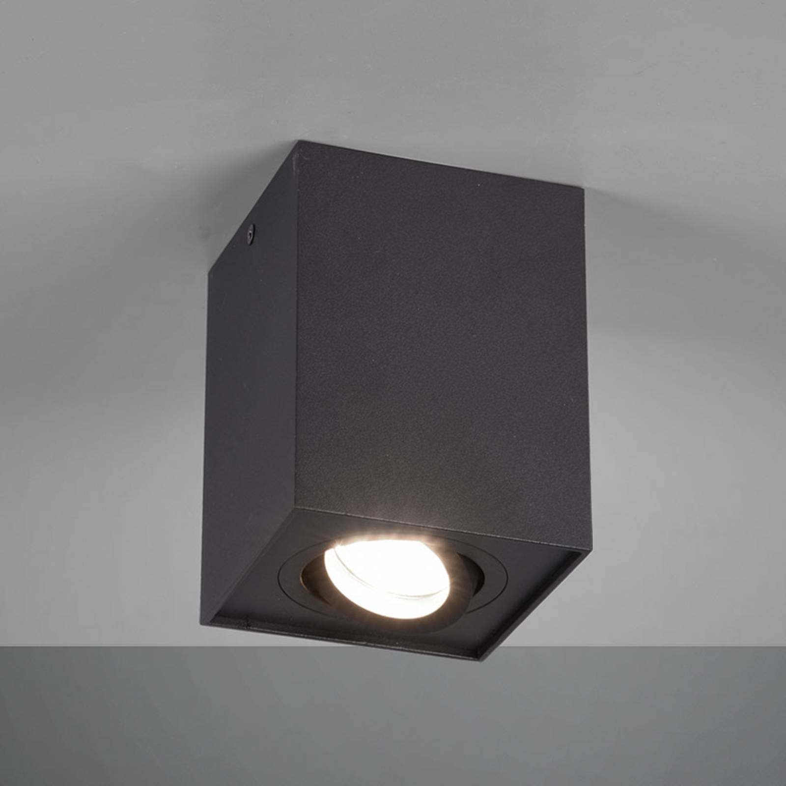 Plafonnier Trio Lighting Biscuit noir en métal avec lampe pivotante